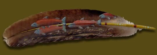 Рисунки на перьях