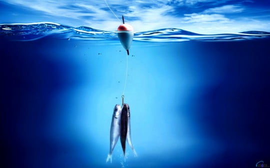 Обои на рабочий стол на рыболовную тематику.