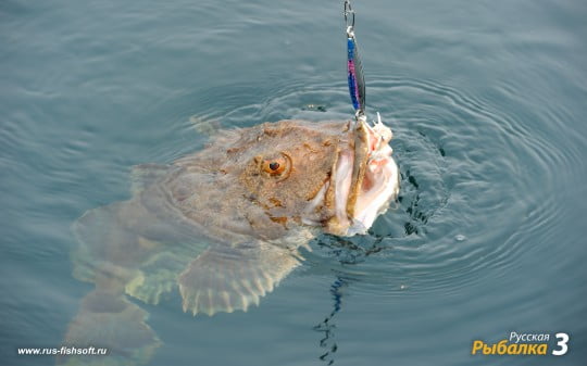 Обои на рабочий стол на рыболовную тематику.