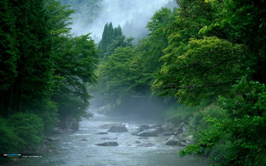 Обои на рабочий стол на рыболовную тематику. Обои на рабочий стол на рыболовную тематику.