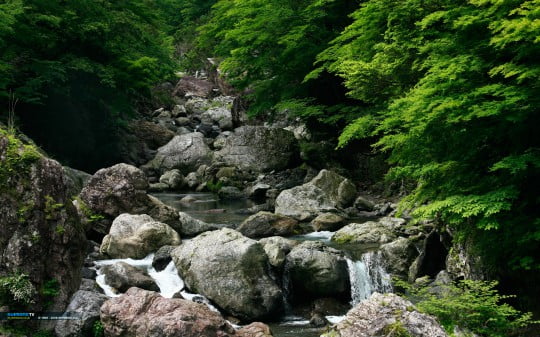 Обои на рабочий стол на рыболовную тематику. Обои на рабочий стол на рыболовную тематику.