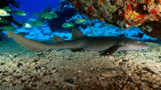 Сборник очень красивых обоев на рабочий стол Сборник очень красивых обоев на рабочий стол