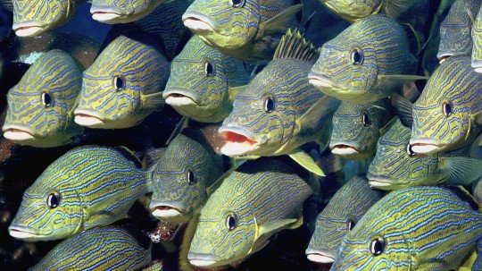 Сборник очень красивых обоев на рабочий стол Сборник очень красивых обоев на рабочий стол